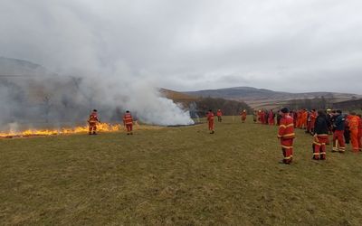 Wildfire cross border exercise